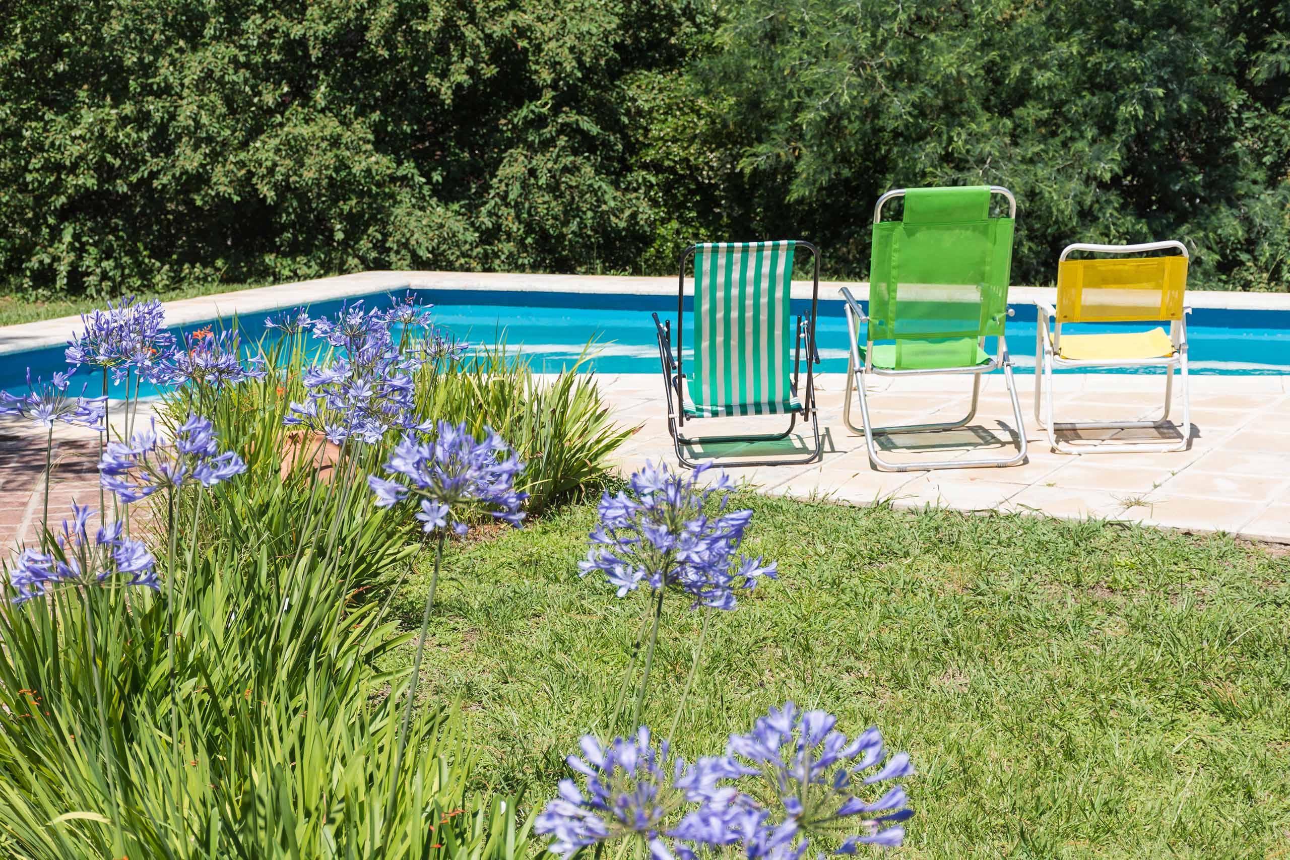Énergie solaire : et si vos panneaux photovoltaïques chauffaient votre piscine ?